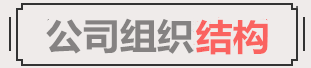 公司组织结构